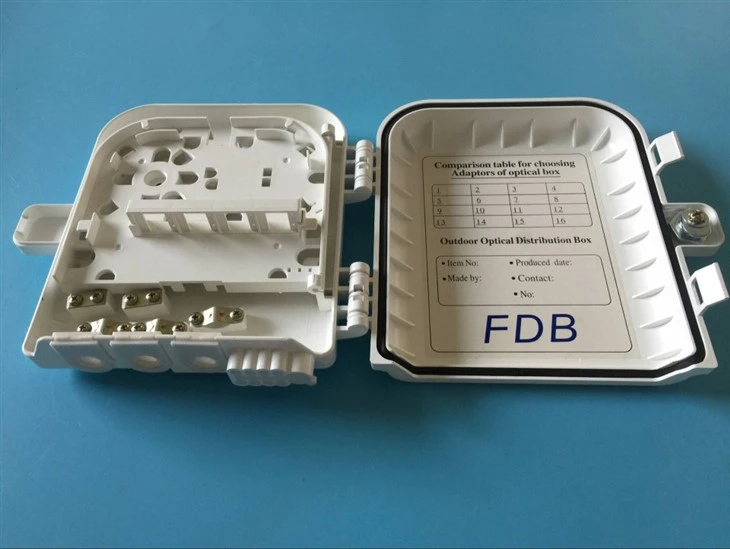 25_