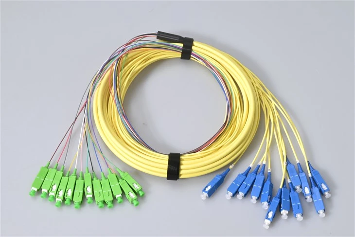 12 Core Patch Cord SC UPC SC APC